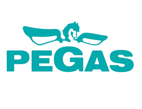 О заводе «Pegas» 1